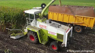 Mais hakselen | Chopping maize | Claas Jaguar 690 SL | Claas Arion | Claas Axion | Maisoogst 2021