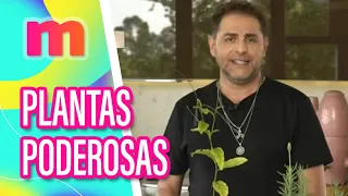 Plantas PODEROSAS para ter em CASA com DANIEL ATALLA - Mulheres (24/05/2024)