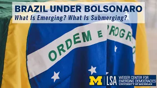 Brazil under Bolsonaro: What Is Emerging? What Is Submerging?