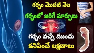 Signs & Symptoms of Early Pregnancy | 1st Month of Pregnancy Symptoms in telugu | Pregnancy Symptoms