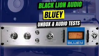 Black Lion Audio Bluey Unboxing and Review - 1176 FET Limiting Amplifier/Compressor