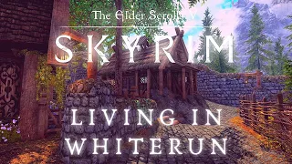 Skyrim SE 4K Music & Ambience | Walking Across Skyrim - Living In Whiterun | Ambient Music