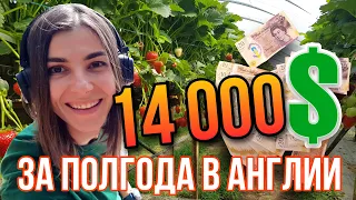 Сколько ДЕНЕГ я заработала НА ФЕРМЕ в АНГЛИИ? Мой итог за 6 месяцев!!! Кто ждал - держите! 🦇