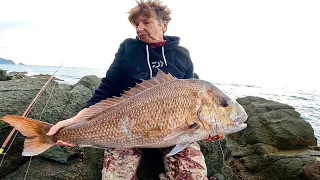 my mum caught the biggest snapper I have ever seen. Rock fishing.