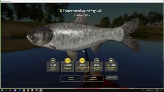 Russian Fishing 4 | Ахтуба 117:101