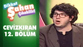 Kim Daha Sanatçı? - Cevizkıran 12. Bölüm | Dikkat Şahan Çıkabilir