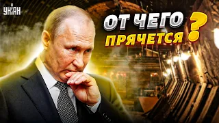Путин спрятался в бункере. Кремлевскому трусу страшно покидать РФ - Шейтельман
