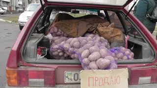 Червоноград, ціна картоплі 10 гривень, субота 22 лютого 2020 р.