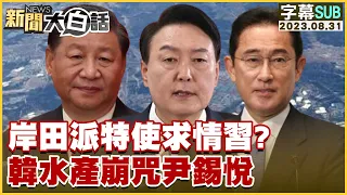 [SUB]岸田派特使求情習近平？韓水產崩咒尹錫悅 新聞大白話@tvbstalk 20230831 (字幕版)