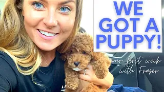 WE GOT A PUPPY! Our first week with toy poodle Fraser