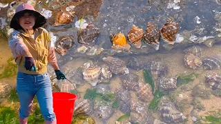 [English sub] Xiao Zhang rushed to the sea and found too many conches on the beach. Xiao Zhang pick