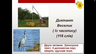 Підсумковий диктант.6 клас . Морфологія. Орфографія. Займенник.( 116 слів)