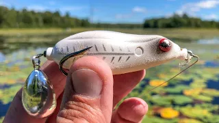 A Relaxing Day Of Frog Bassin'