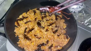 【Weird Japanese Food】I Made My Friend Eat Grasshoppers! Grasshopper Fried Rice!