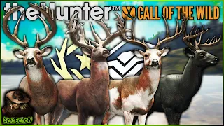 A Great One & Super Rare Whitetail WITHOUT Herd Management! Call of the wild
