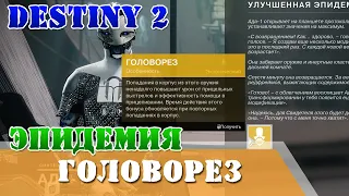 Улучшенная эпидемия 3 Головорез, Идеальная эпидемия, час испытания Destiny 2