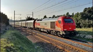 Trains TER FRET TGV TTX et HLP à TARASCON