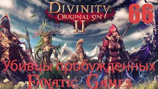 🔥Divinity: Original Sin 2.Прохождение #66.Убийцы пробужденных никак не успокоятся.🔥