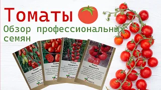 Томаты 🍅 Обзор профессиональных семян