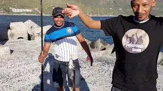 Fishing in Houtbay South Africa: Back to the honey hole #shorts #Fish #Fisherman #fishing