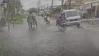 Heavy Rain, and Strong Winds The Sound of Rain Makes Sleep More Calm and Comfortable