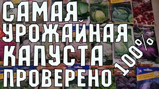 САМЫЕ ЛУЧШИЕ СОРТА И ГИБРИДЫ КАПУСТЫ!!! СУПЕР УРОЖАЙ!!! ПРОВЕРЕННО 100%!!!