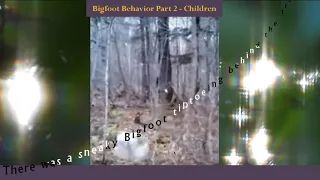 Bigfoot Baby - Behavior Analysis P2: Children