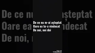 Theo Rose - De Ce (versuri/lyrics)