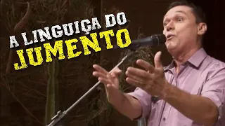 Amazan - A Linguiça do Jumento