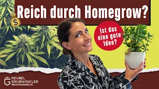 Anbau Strafe - Homegrow, wie schlimm ist es?