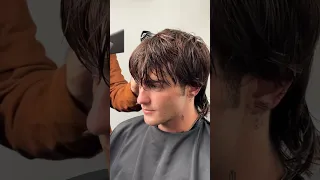 Men's Wolf Cut and Style