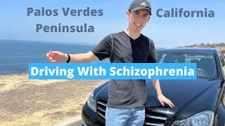 Safe Driving with Schizophrenia