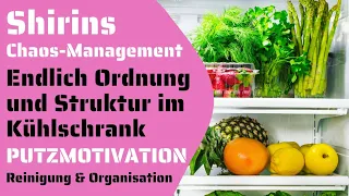 So organisiere ich meinen Kühlschrank | Ordnung & Struktur