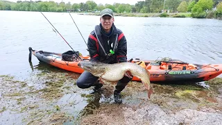 FishingStat - Énorme brochet à Tremelin (35)