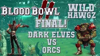 Wild Hawgz grand final! Dark Elves (the Sage) vs Orcs (Gojira) - Blood Bowl 2