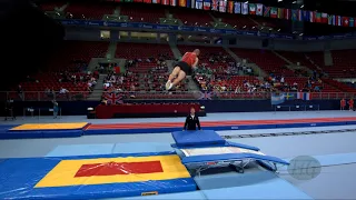 SCHWAIGER Jonathon (CAN) - 2017 Trampoline Worlds, Sofia (BUL) - Qualification Double Mini Routine