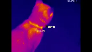 NOYAFA Professional Thermal Camera Android, Thermal Camera Home Inspection, USB Thermal Imaging Came