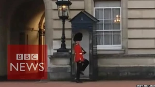 Buckingham Palace Guardsman doing 'pirouettes' - BBC News