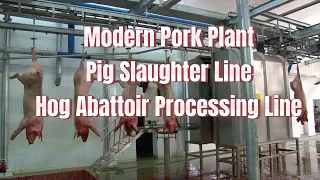 Pig abattoir slaughter line hog processing equipment slaughterhouse  оборудование для бойни свиней