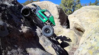 Axial Capra trailing & crawling around the park.