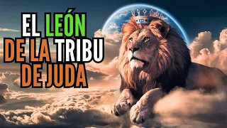 🙏"¡Impactante Revelación! Jesús: El León de la Tribu de Judá Finalmente Explicado"