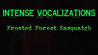 Intense Screams From The Dark Woods - Possible Sasquatch Vocalizations (captured by Ryan)