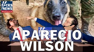 F*cksNews: Apareció Wilson