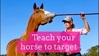 How To Teach Target Training To Your Horse: A Step-By-Step Guide | LaraCoventryCox.com