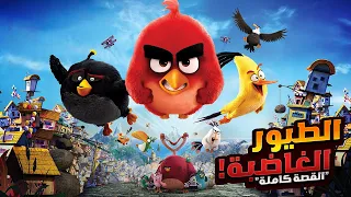 مغامرات الطيور الغاضبة لإنقاذ جزيرتهم | افلام ديزني الملخص كامل | ملخصات افلام كرتون Angry Birds