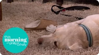 How To Care For a Depressed Pet | This Morning