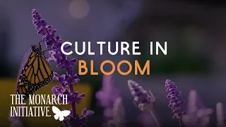 The Monarch Initiative: Sustainability Culture Blooms in the Audubon Park Garden District