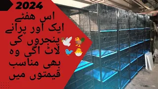 Secondhand cages||cheap price birds cages shop in lalukhet birdsmarket 2024 update |cagesinformation
