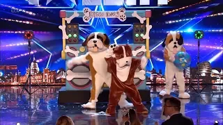 Disco Dogs Surprise Full Audition Britain's Got Talent 2019 S13E08