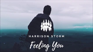 Harrison Storm - Feeling You